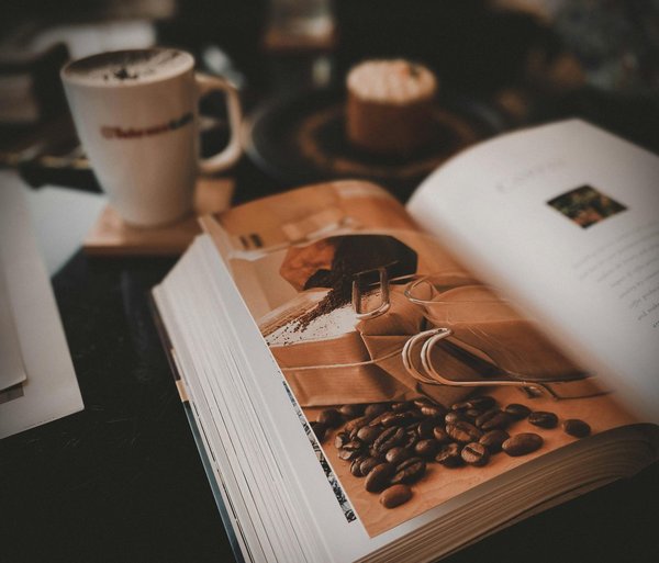 Les Indispensables de la Littérature sur les Casinos : Plongée dans les Ouvrages à Ne Pas Manquer