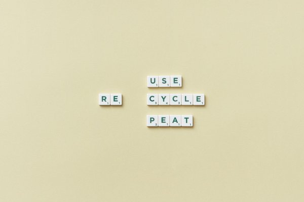 Faire face au changement climatique : stratégies innovantes dans les pays en développement